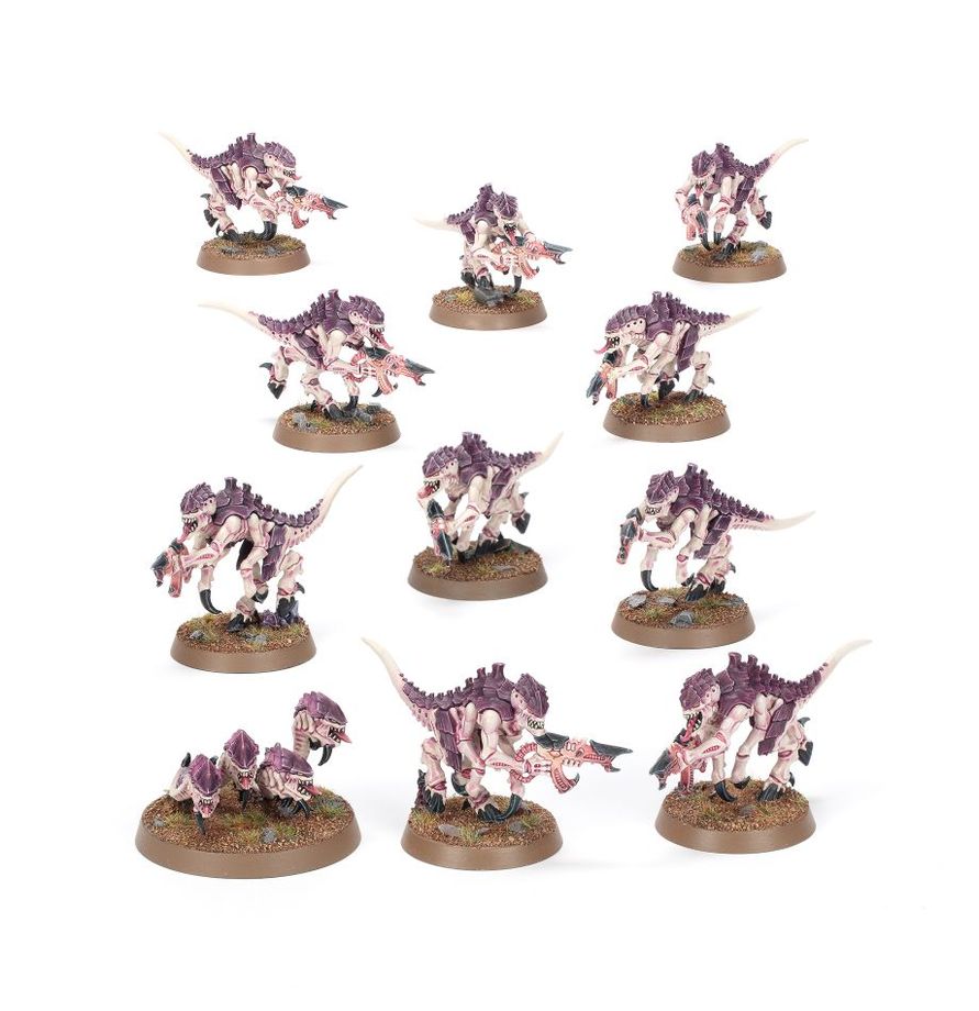 Warhammer 40K Introductory Set