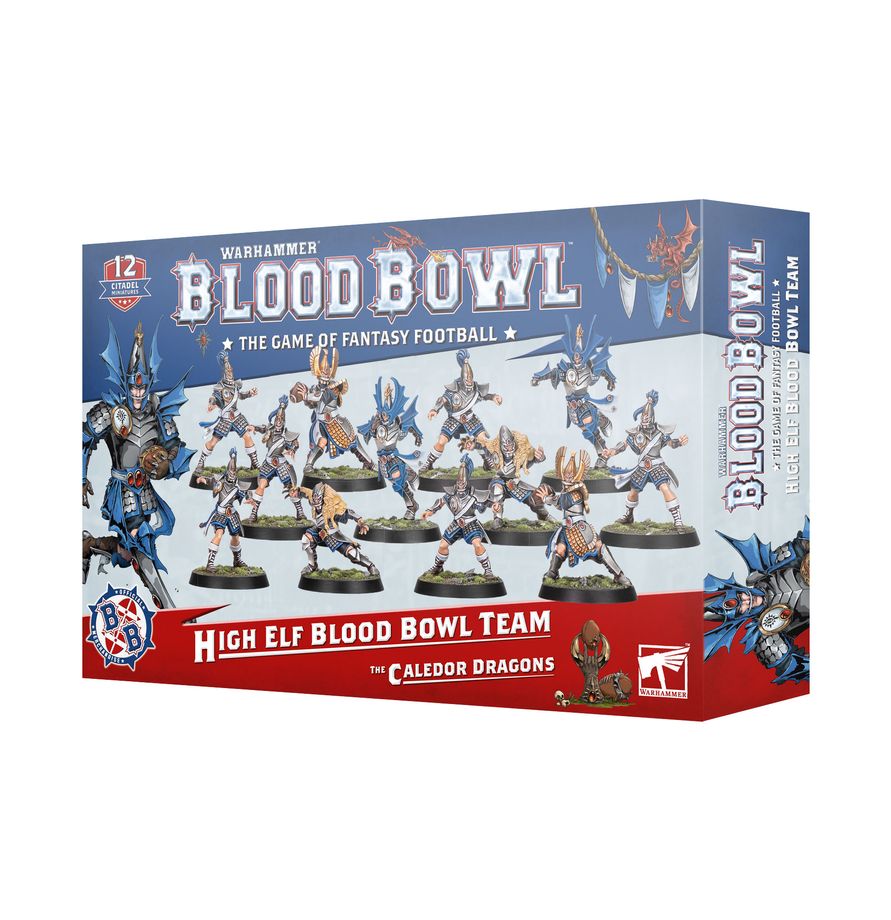 High Elf Blood Bowl Team The Caledor Dragons